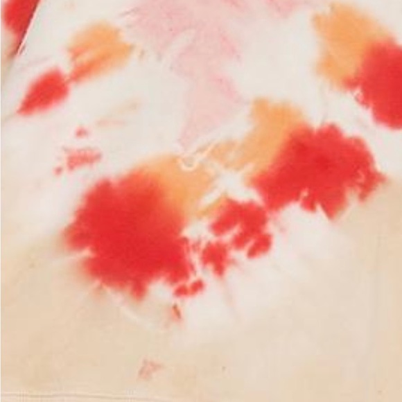 NWT WILDFOX GRAPEFRUIT SOMMERS INTENTIONALLY DISTRESSED SWEATSHIRT SZ SMALL - Picture 4 of 14